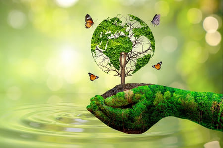 The Green Action School Rankings celebrate schools